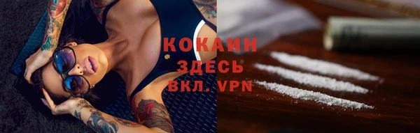 мяу мяу мука Рославль