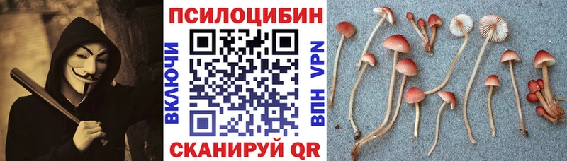 Галлюциногенные грибы MAGIC MUSHROOMS  купить наркотик  Липецк 
