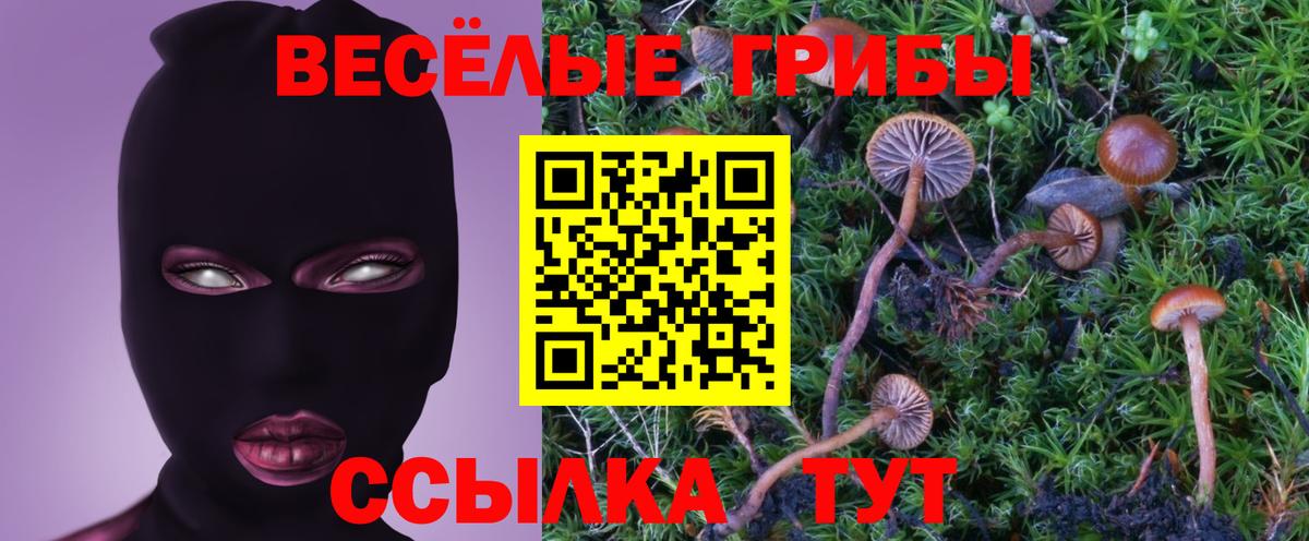 Псилоцибиновые грибы Cubensis Липецк