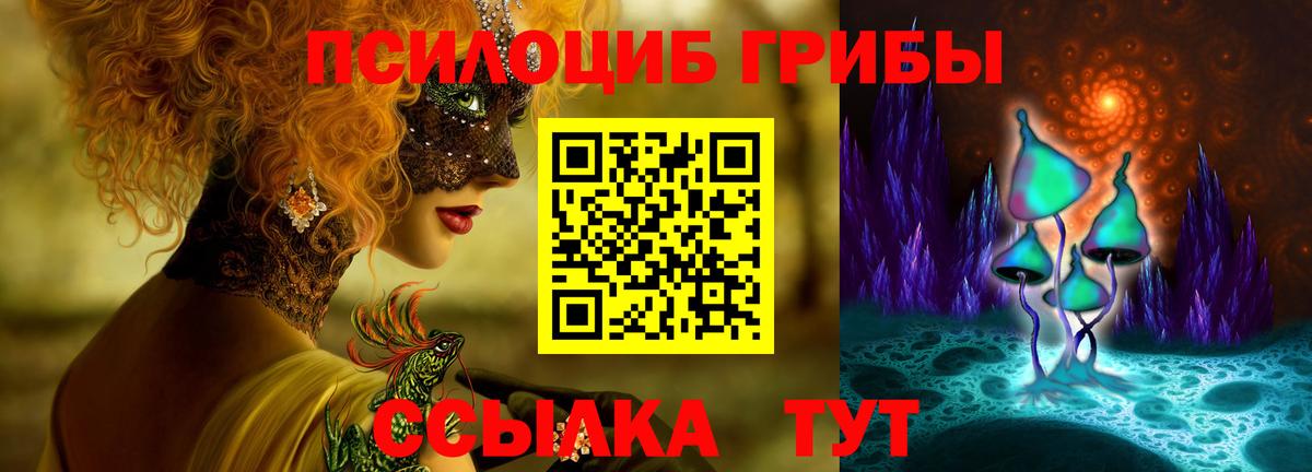 Липецк  Псилоцибиновые грибы прущие грибы  Вход с VPN 